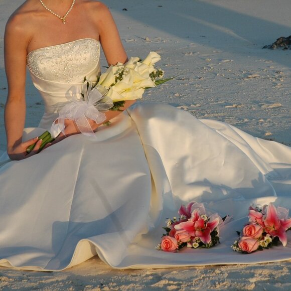 Alfred Sung Wedding Dress 6572 - Picture 3 of 8